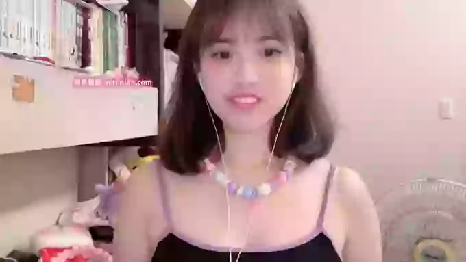 nekoQ