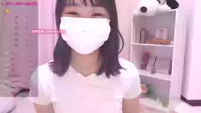 ccoSAKURAocc