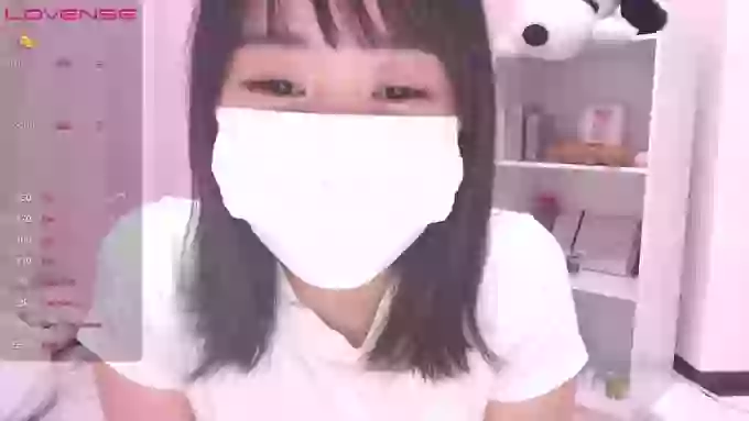 ccoSAKURAocc