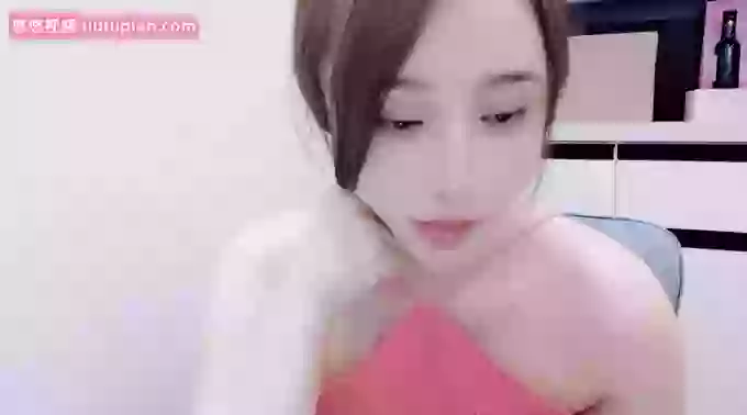 qingqingaini