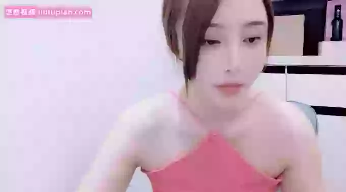 qingqingaini