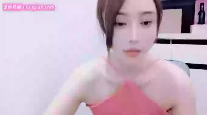 qingqingaini