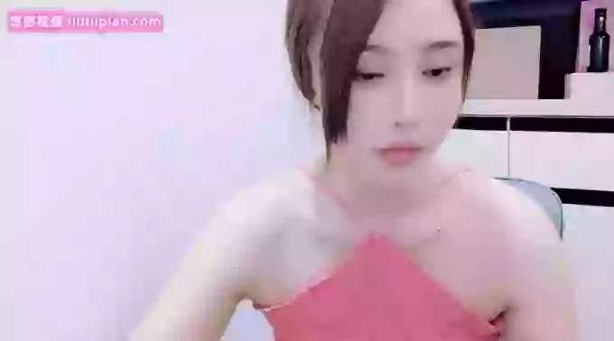 qingqingaini