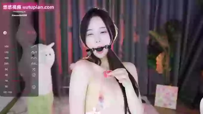 jiayin-520