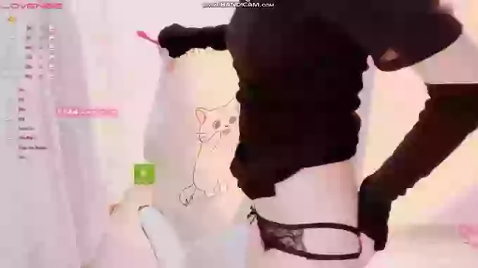 BF_JIAJIA
