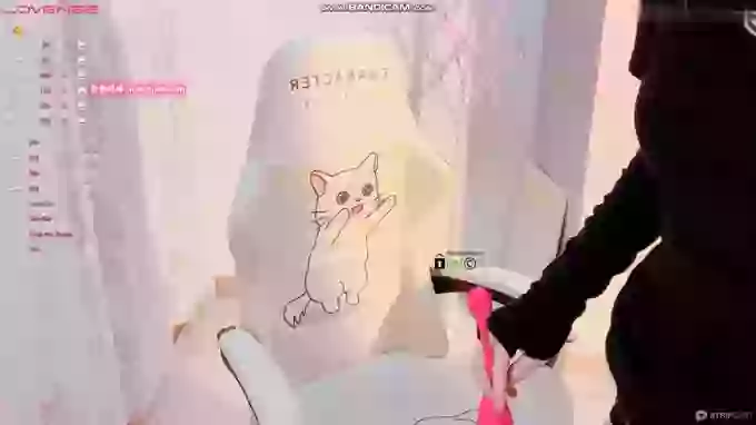 BF_JIAJIA