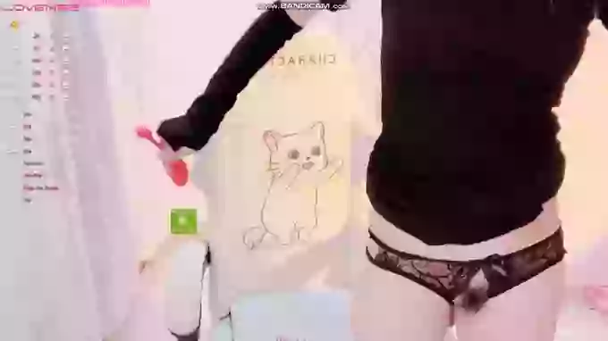 BF_JIAJIA