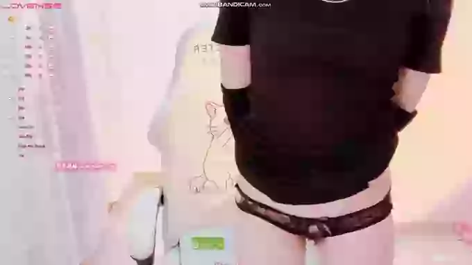BF_JIAJIA