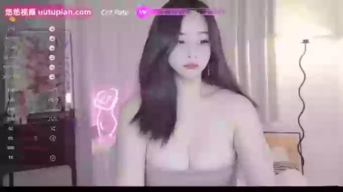 feifeidiss