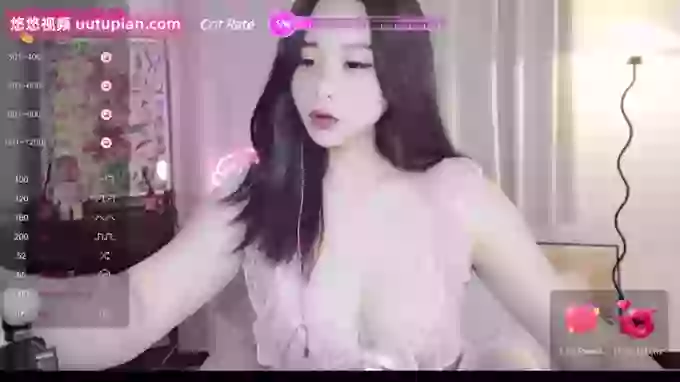 feifeidiss