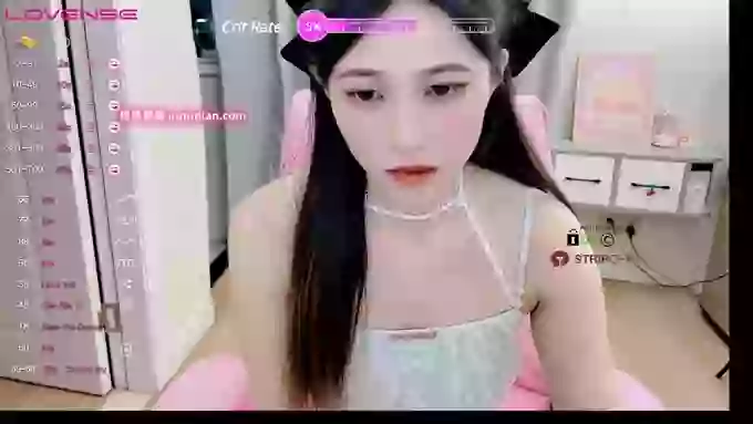 -MiTo66-