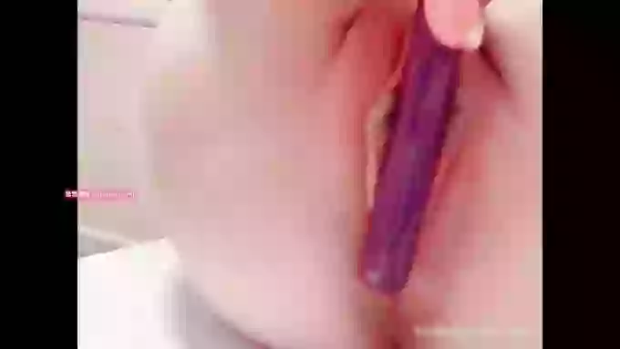 推特-白鲸
