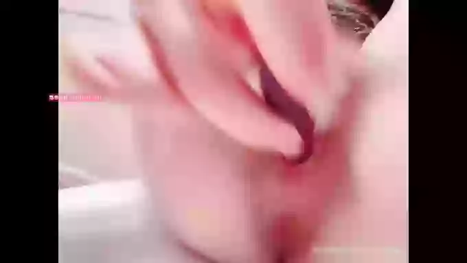 推特-白鲸