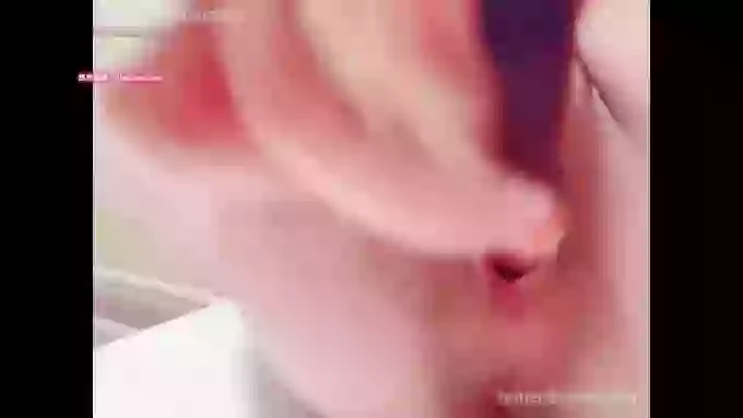 推特-白鲸