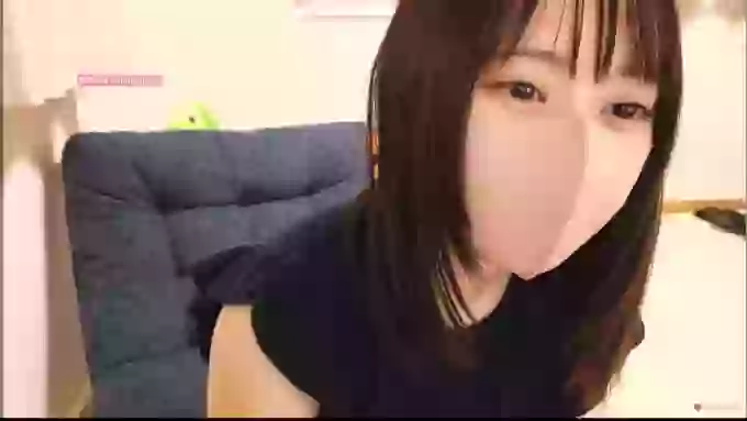 HIKARI_x0