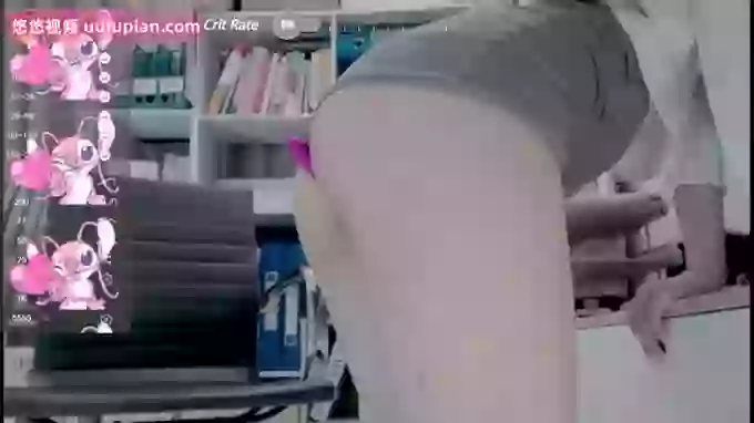Cici-Secretary