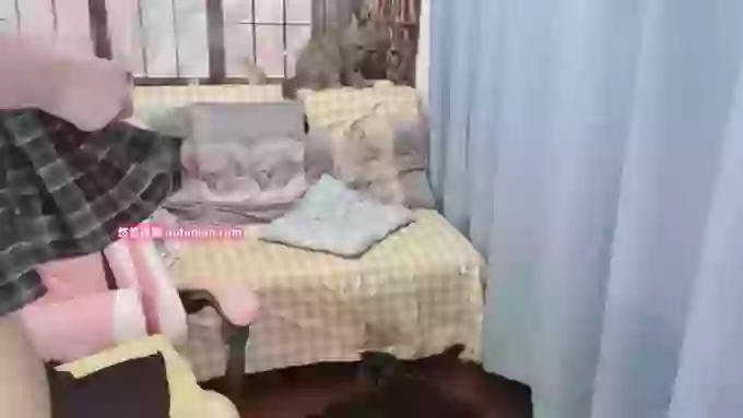 4uoki