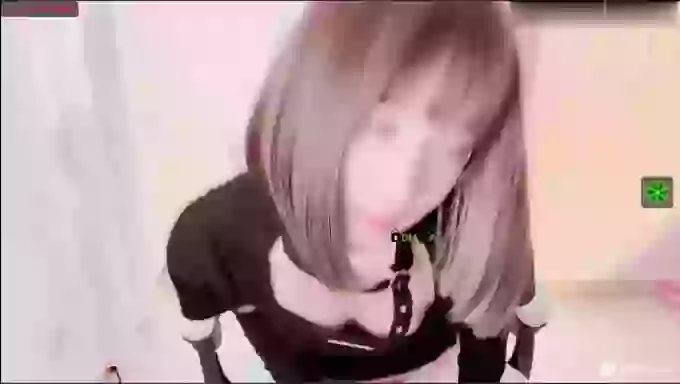 BF_JIAJIA
