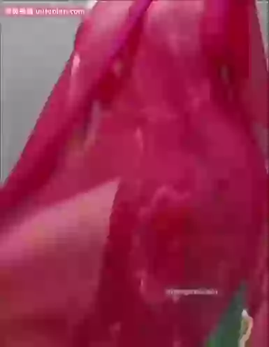半糖-舞6柒
