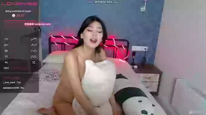 YumekoShi