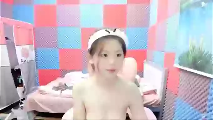 18huibao