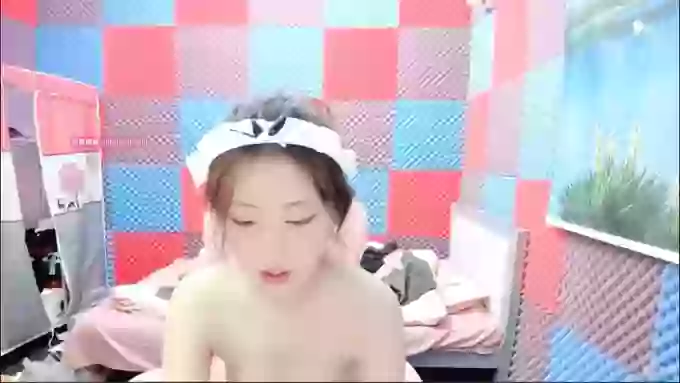 18huibao