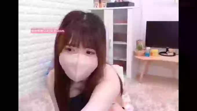 POCAPOCA_vv