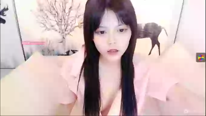 _CHANEL__