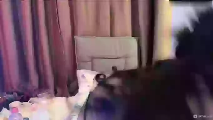 tutu-sexy