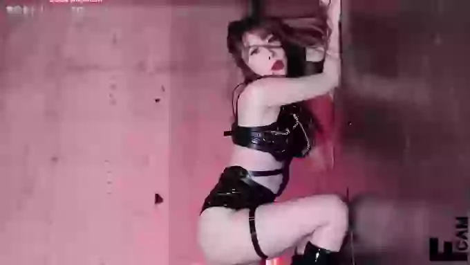 韩国-Bomi
