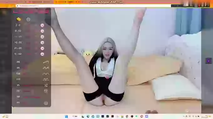 ANNA-V