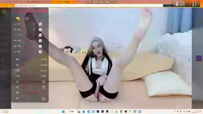 ANNA-V