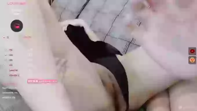 Candy-show