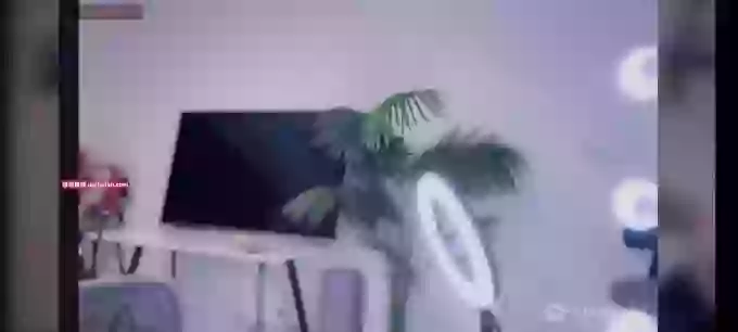Nononononono-
