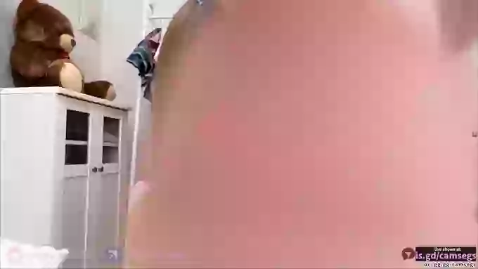 POCAPOCA_vv