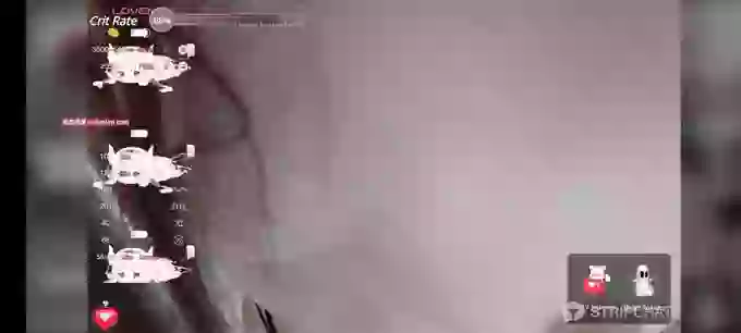 Vivi_CC