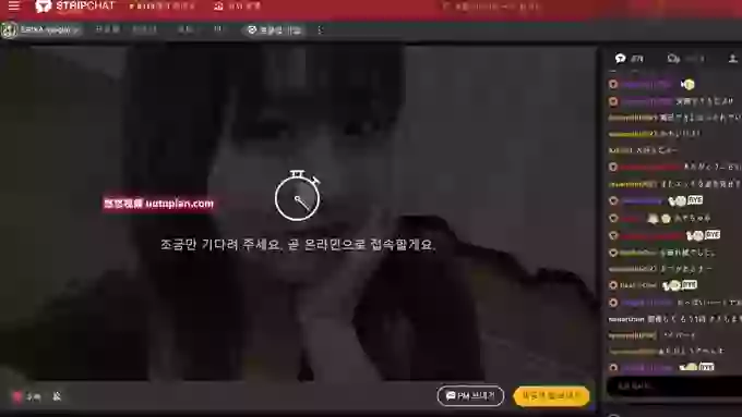 ERIKA-syogun