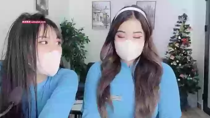 Mono-Stewardesss