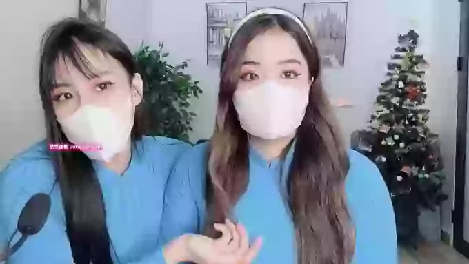 Mono-Stewardesss