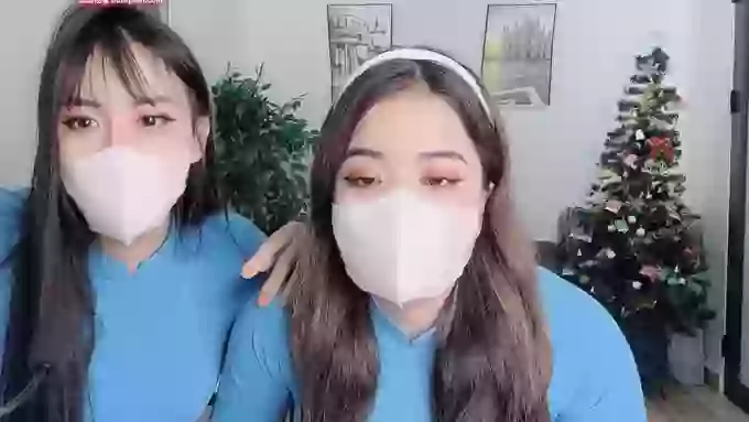 Mono-Stewardesss