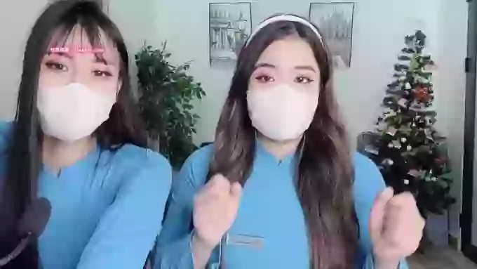 Mono-Stewardesss