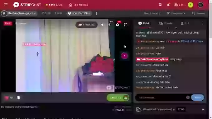 BubbleschewingGum