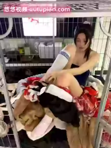 Happy-_-puppy