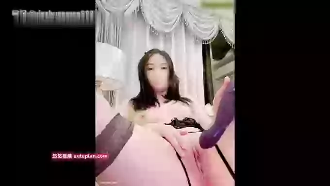 推特-刘白白