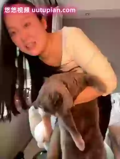 ZaoanH